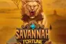 Savannah Fortune slot demo by Quickspin